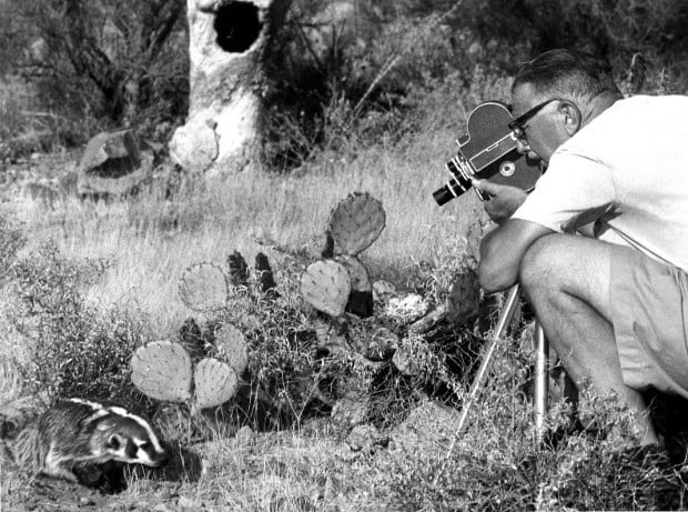 Tucson Animal Tails: Badgering a badger