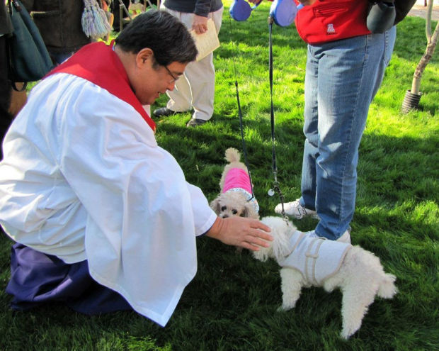 St. Philip's Blessing of the Animals