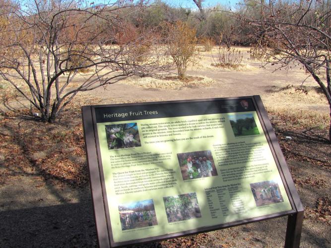 Heritage fruit trees