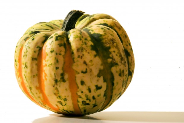Squash those misconceptions   