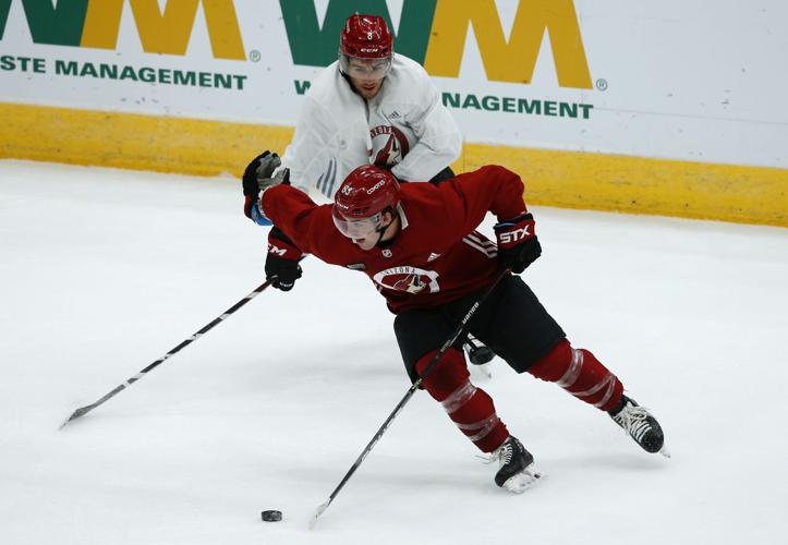 Coyotes Hockey