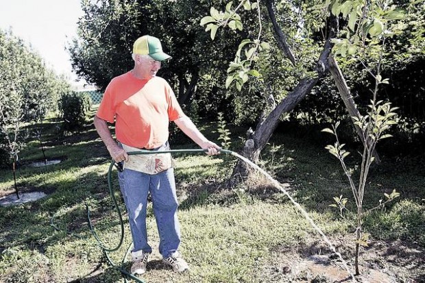 labor of love bears fruit  