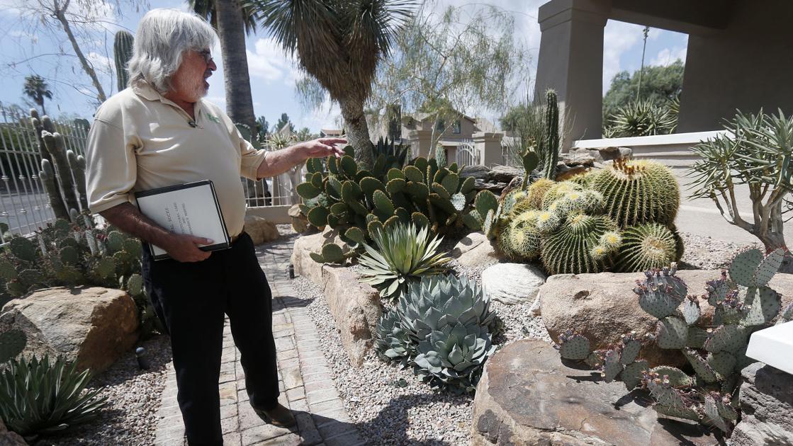 Mineral Dealer Cultivates Cactus And Succulent Collection Tucson Gardens Com Mineral Dealer Cultivates Cactus And, Cactus Garden Tucson Az