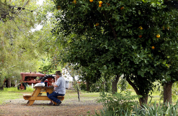 'Things just grow here' in Catalina