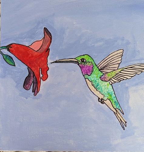 humming-bird.jpg