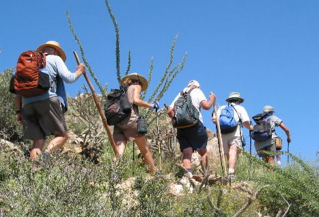 King Canyon Trail