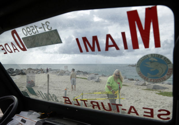 It's turtle-nesting season in Florida    