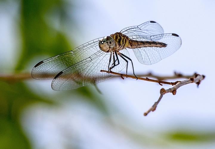 Best of Ron Medvescek in 2016