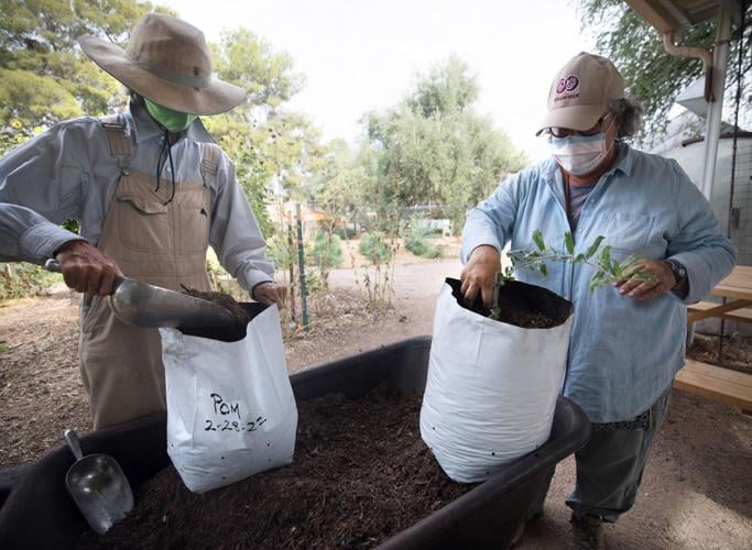 Trees, Community Food Bank, 2022