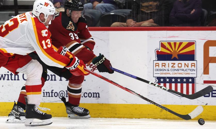 Roadrunners vs Calgary, AHL hockey (copy)