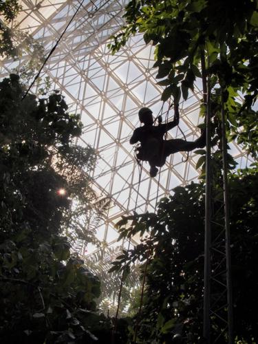 Biosphere 2 study: Tropical forests might be more resilient to rising temperatures than expected