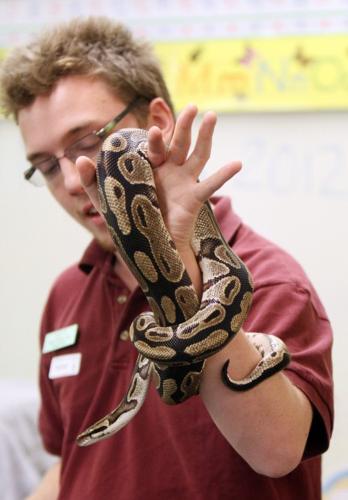 Programa de Reid Park Zoo lleva animales a las escuelas    