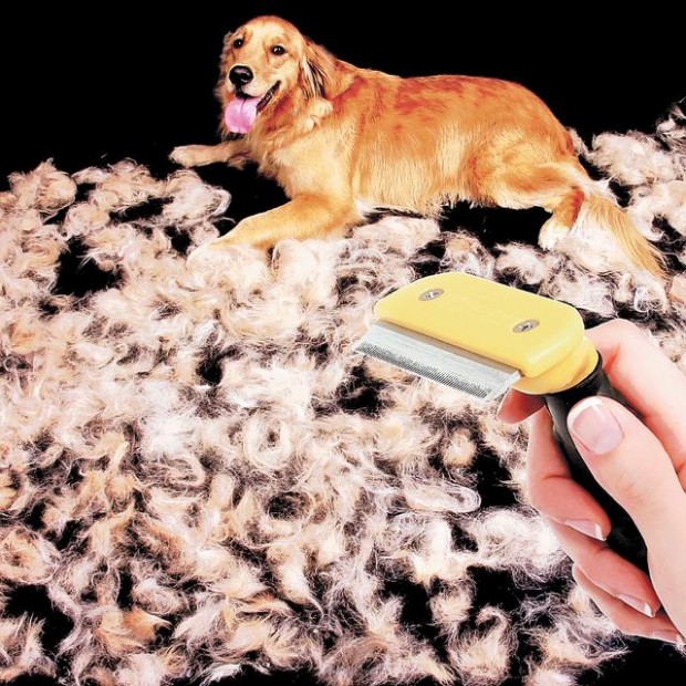 Furminator golden hot sale