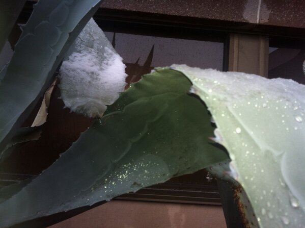 Snowfall around Tucson