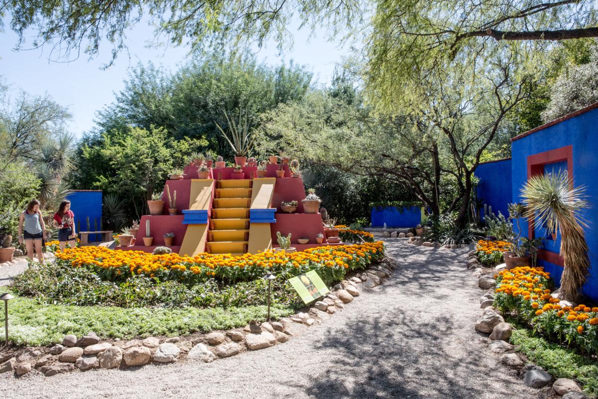 Frida Kahlo's influence means more color at Tucson Botanical Gardens