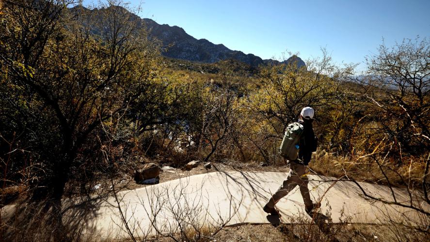 Accessible trail, Madera Canyon