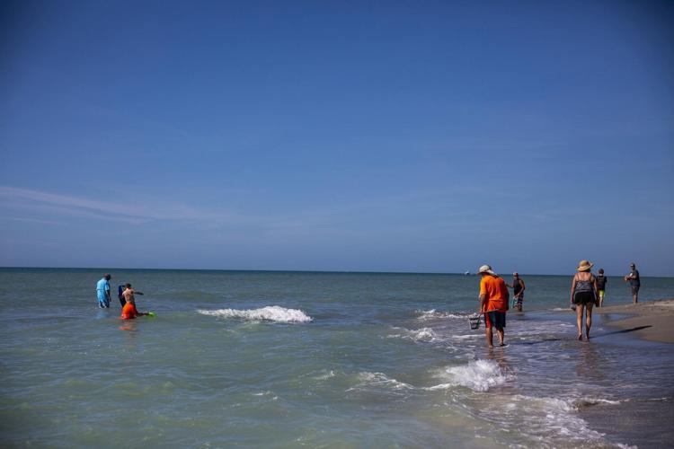 Shark tooth hunting is a popular activity on Venice's beaches, especially near Venice Fishing Pier, on Jan. 15, 2020.