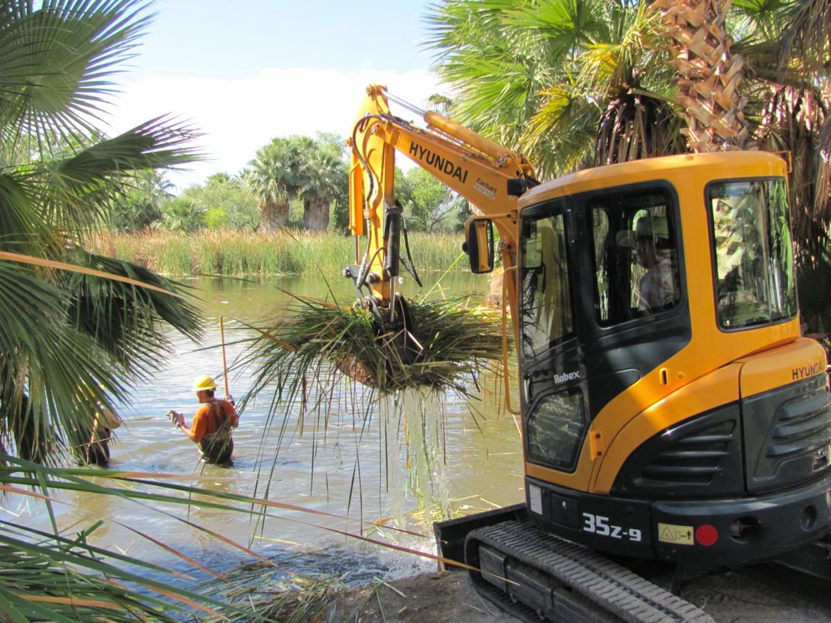 Agua Caliente Pond Gets A Haircut Local News Tucson Com