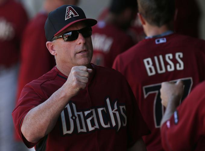 Chip Hale, D-backs 2015