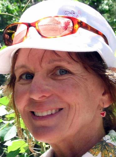 Four vie for Metro Water seats   