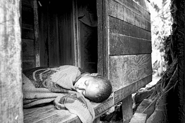 Malaria rises with warm temps in highlands  