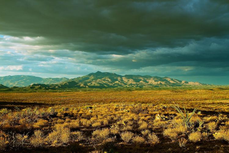 Voices of Vail_Rincons