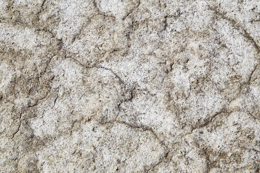 Excess salt in root zone a possibility