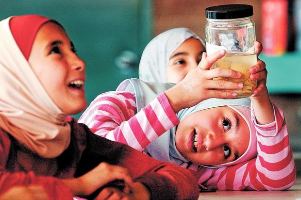 Lesson links biology with the Almighty  