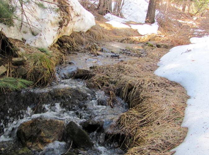 Stream flowing with snowmelt