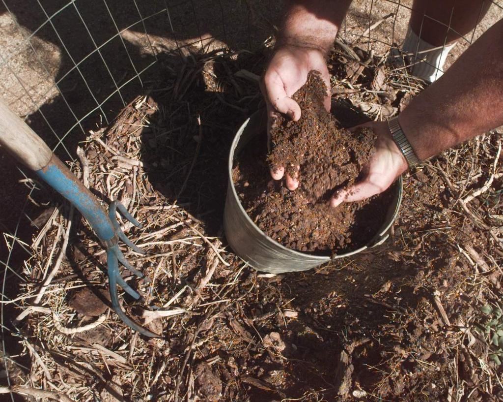 21 Tips For Starting A Desert Compost Pile Tucson Gardens