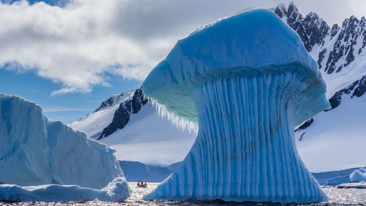 Same Medium, Different Subject. Photography by Beckman and Nolan
