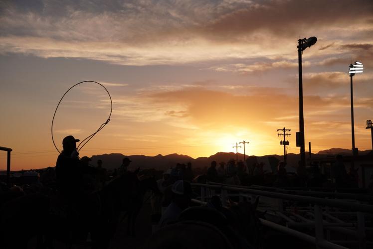 Increased safety measures aim to protect rodeo riders, horses