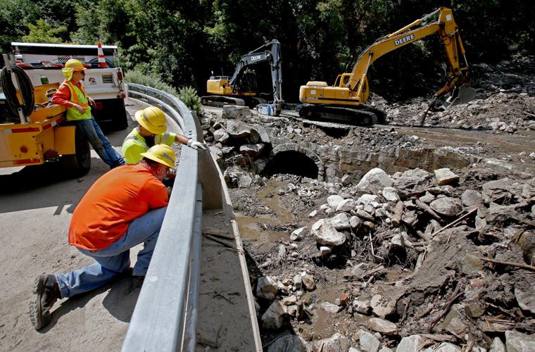 Frye Fire recovery on Mt. Graham