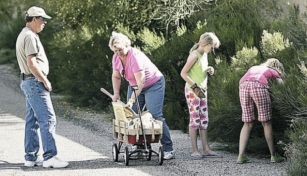 Bear Canyon a good place to saddle up  
