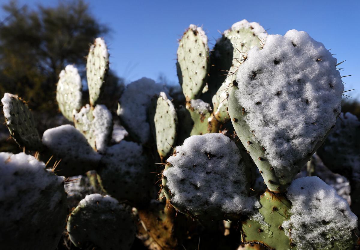 Weather in Tucson this week: cold, rain and maybe snow
