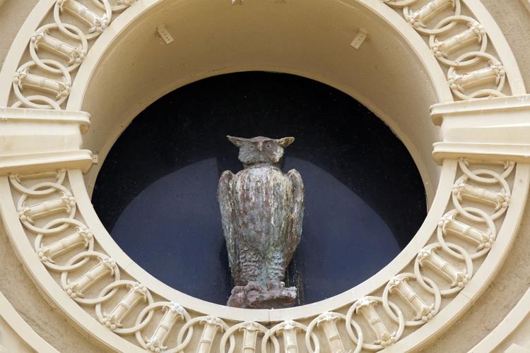 Sobre The Owl Club – The Owl Club