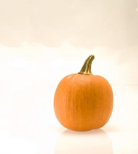 Squash those misconceptions   