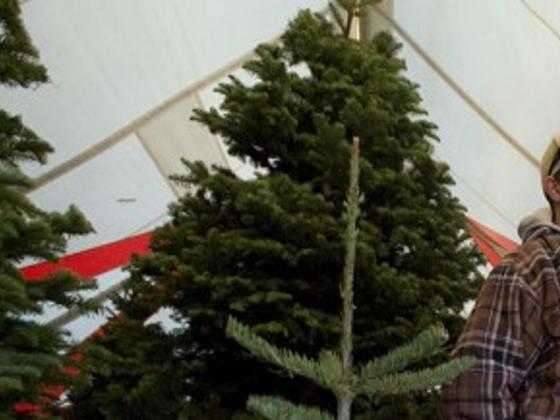 Where To Dispose Of Christmas Tree Tucson 2022 5 Places To Buy Your Real Christmas Tree In Tucson | Tucson Life | Tucson .Com