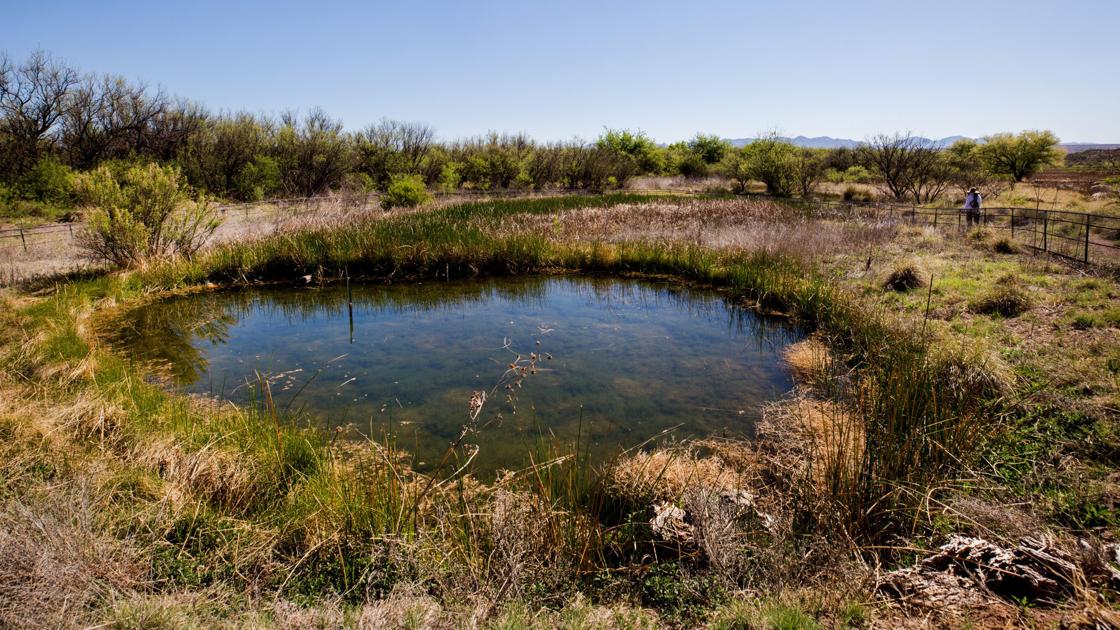 Local Opinion: San Pedro not protected by adequate water supply - Arizona Daily Star