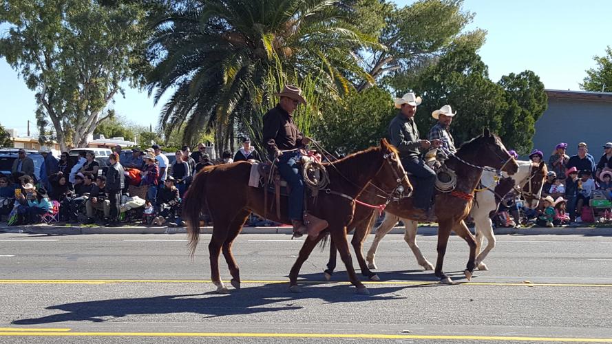 2017 Tucson Rodeo Parade entries