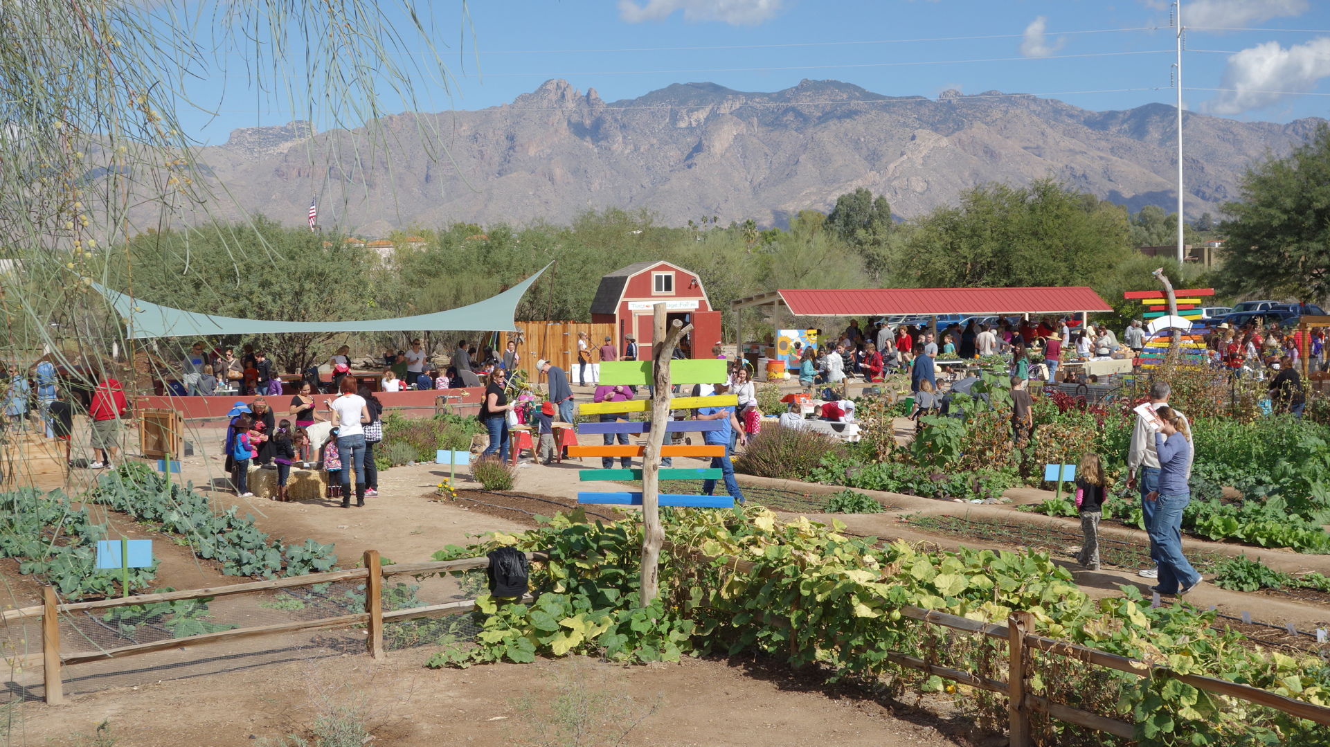 harvest tucson