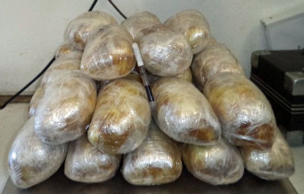 Drug dog finds $540K in meth at Nogales border