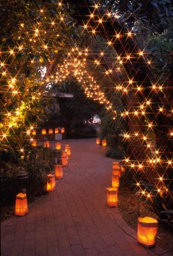 Luminaria Night '99.jpg