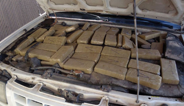 Douglas pot bust