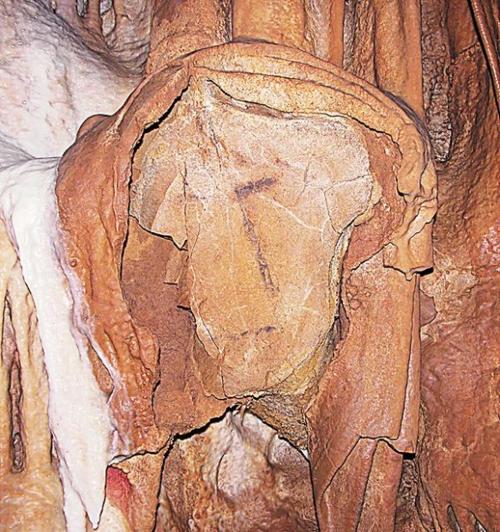 Rare finds in French cave detailed  