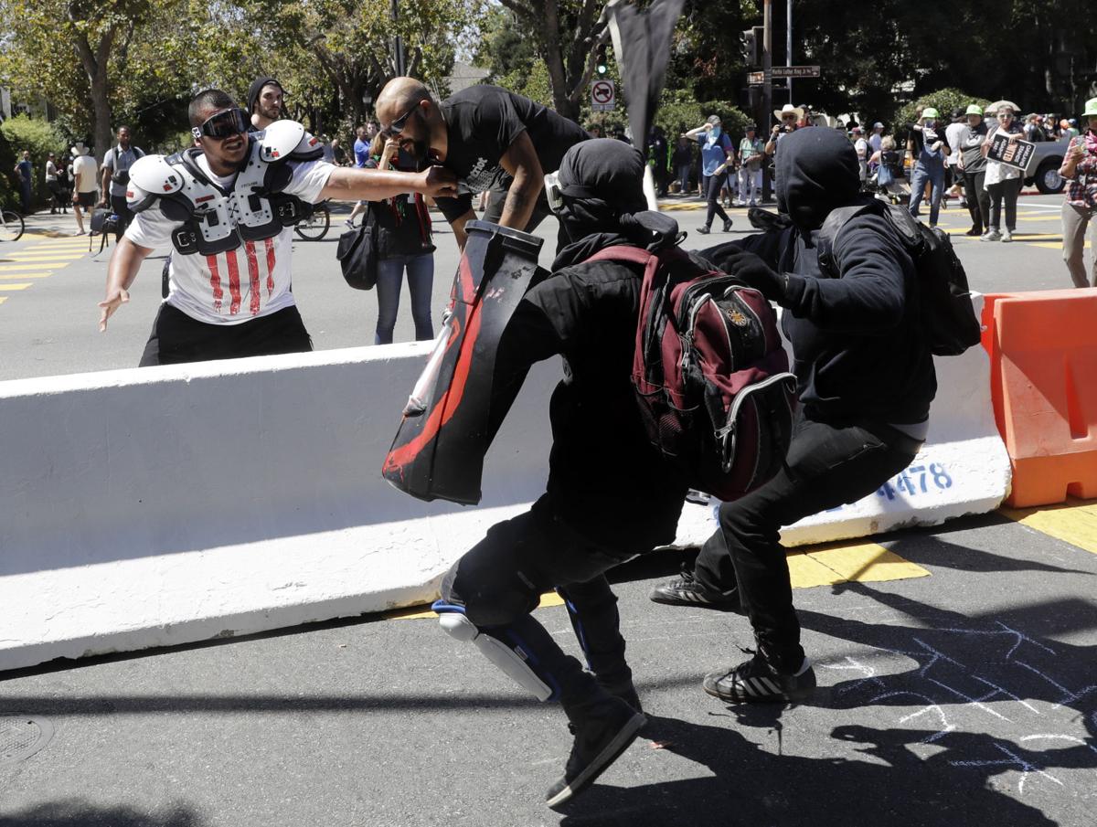 Free Speech Rallies