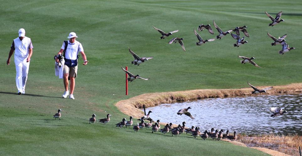 030219-spt-cologuard classic-p15.JPG