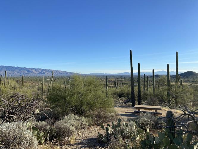 Sabino Canyon (copy)