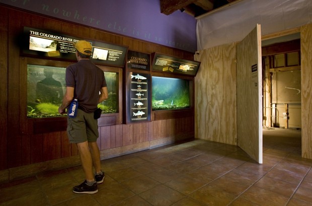 Desert Museum aquarium project seen as tourism, economic boost  