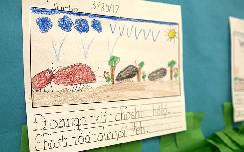 Navajo language